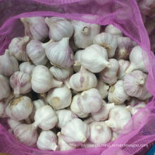 china cheap garlic chinese normal white garlic fresh garlic price